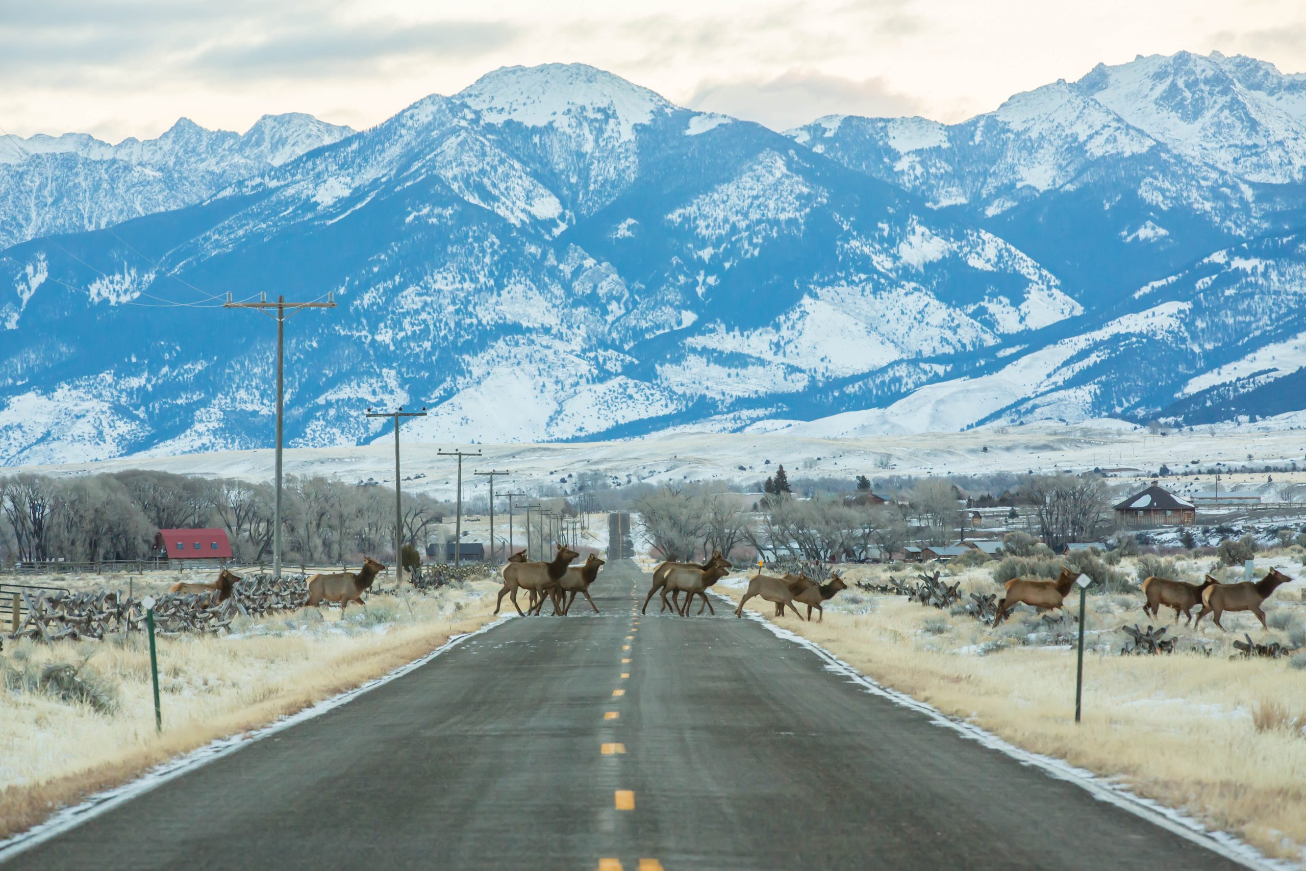 Livingston, Montana